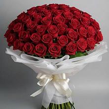 Букет 101 Красная роза Блэк Мэджик в Сангаре