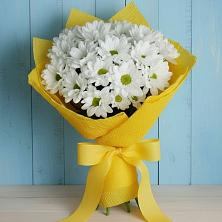 Букет цветов из:  Хризантемы в Сангаре