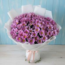 Букет цветов из:  Хризантемы в Сангаре