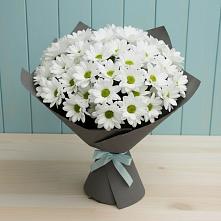 Букет цветов из:  Хризантемы #REPLACE_PRED# Сангаре