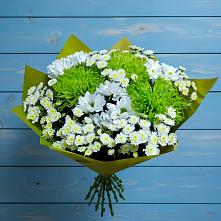 Букет цветов из:  Хризантемы #REPLACE_PRED# Сангаре