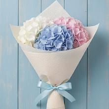 Букет цветов из:  Гортензия #REPLACE_PRED# Сангаре