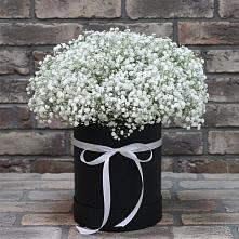 Цветочная композиция из Гипсофила в шляпной коробке в Сангаре