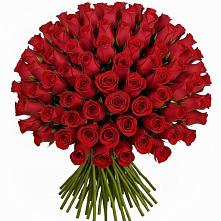 Букет Красные розы Чери Лав в Сангаре